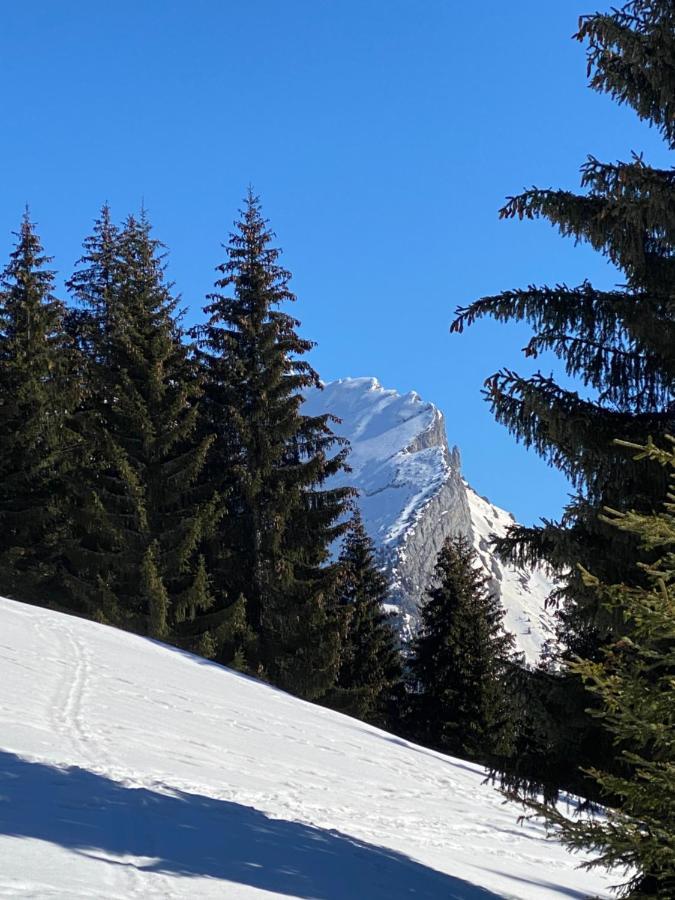 Les Bouquetins Appartement La Clusaz Buitenkant foto